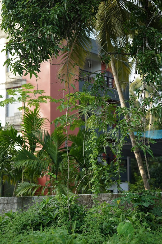 Casamia Garden