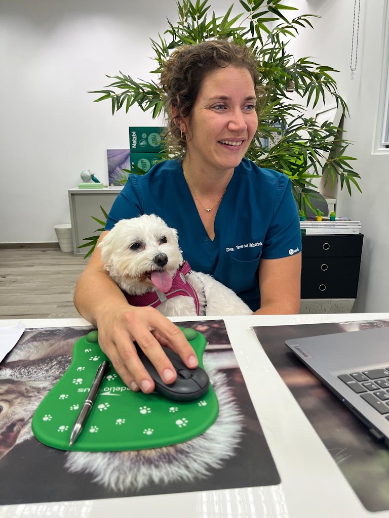 Mairata Veterinari — Del propietario