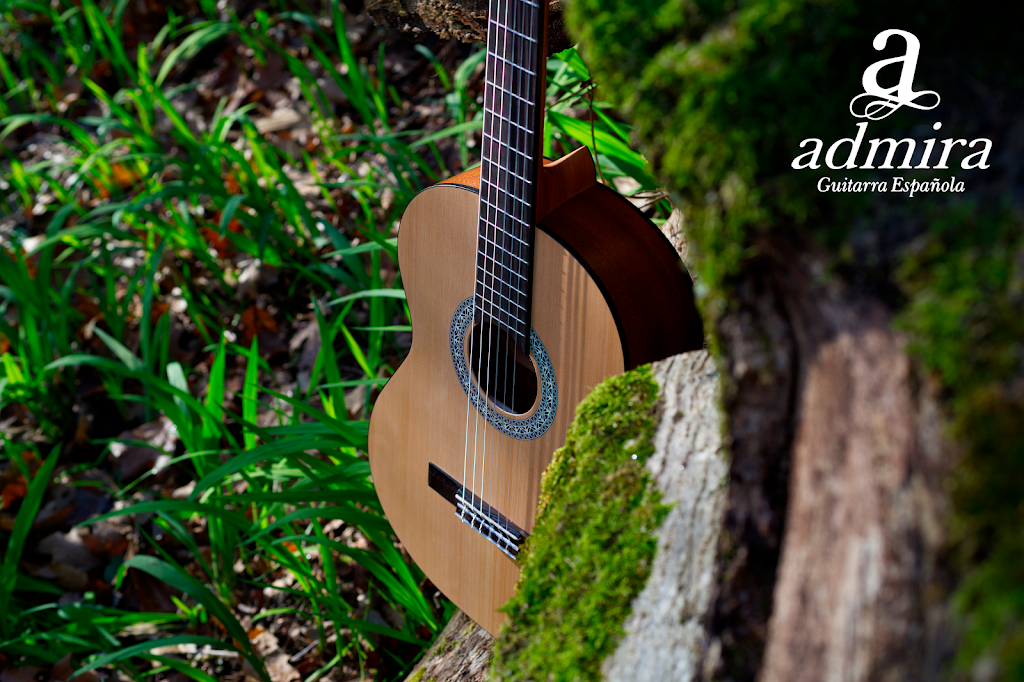 Guitarras admira