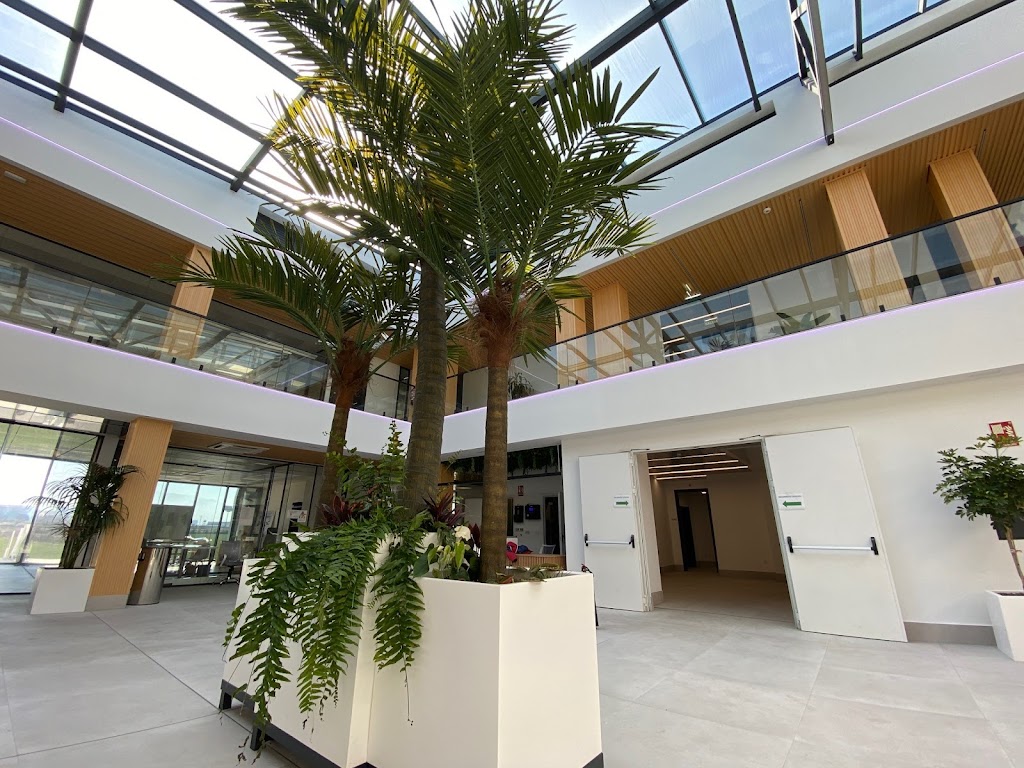 Educa Business School