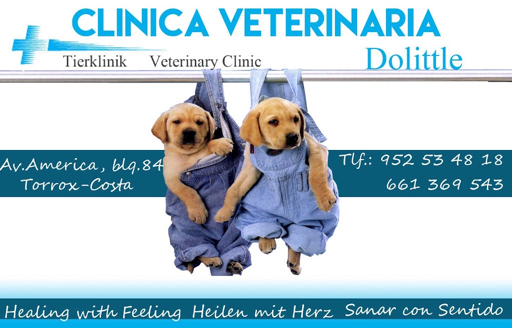 Clinica Veterinaria Dolittle — Del propietario