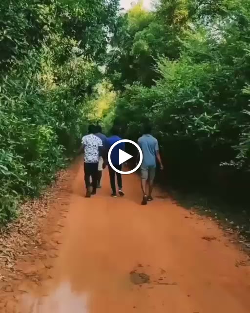 Videos