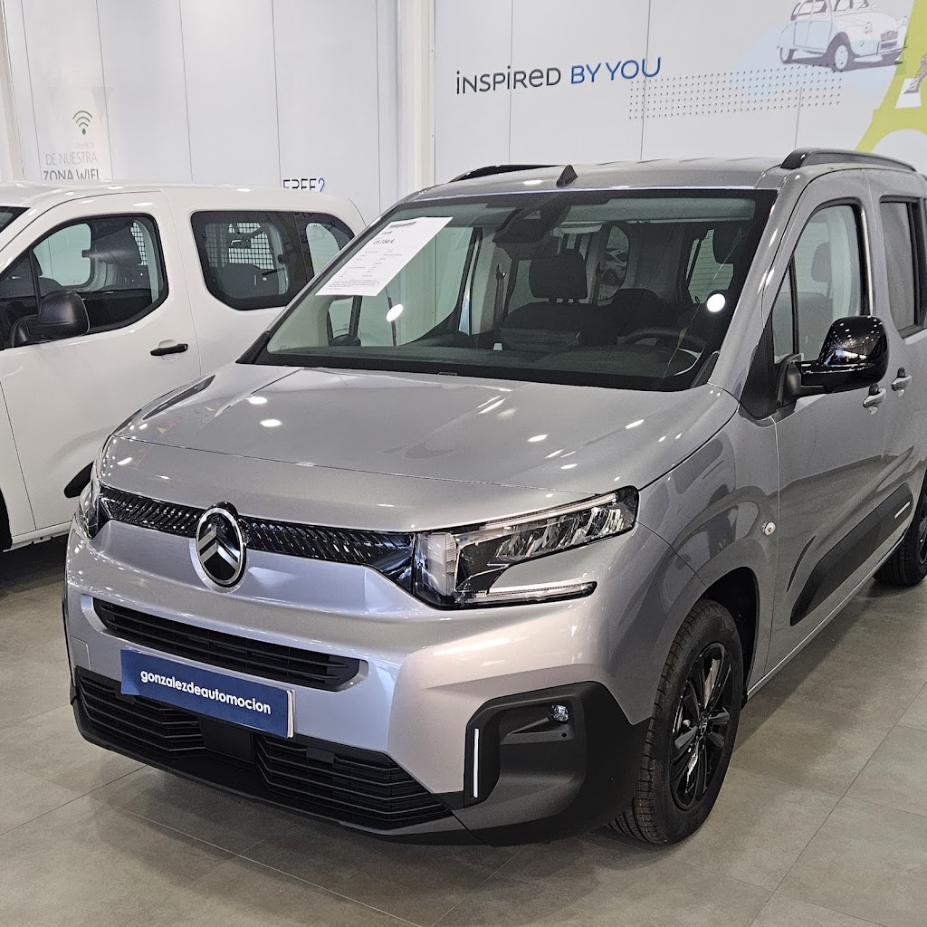 Citroen Gonzalez De Automocion — Del propietario