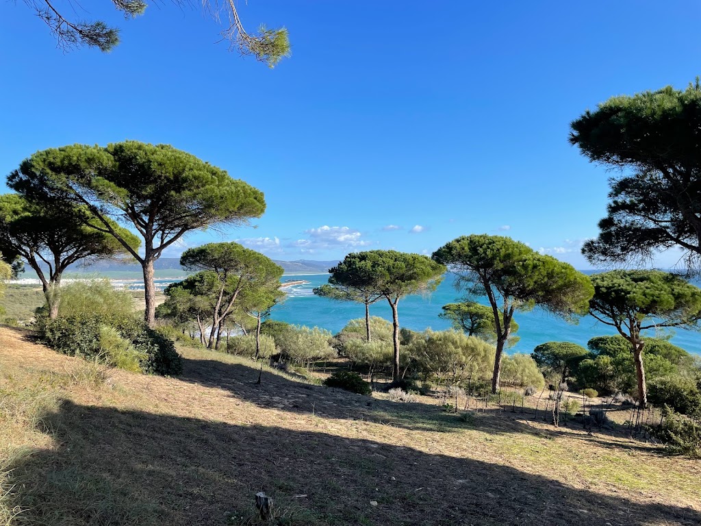 Parque natural de La Brena y Marismas del Barbate