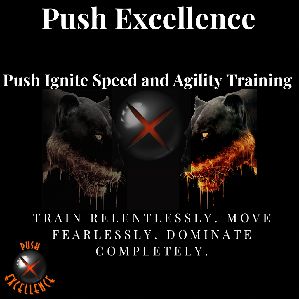  Push Excellence