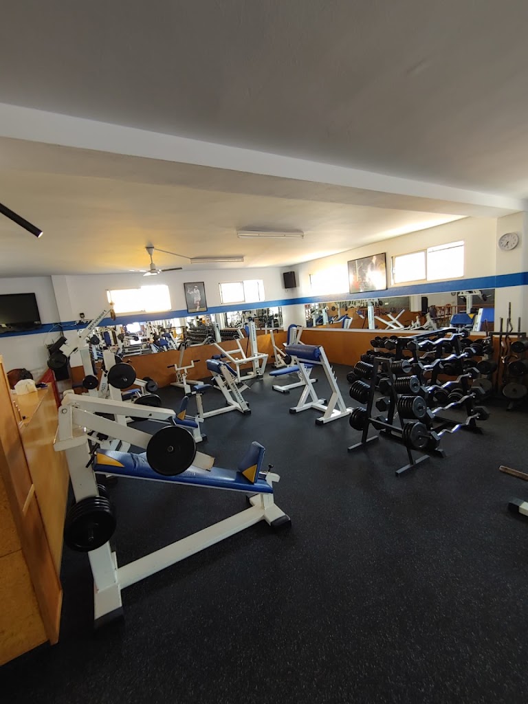 Gimnasio Barbate - Club de fitness — Gimnasio