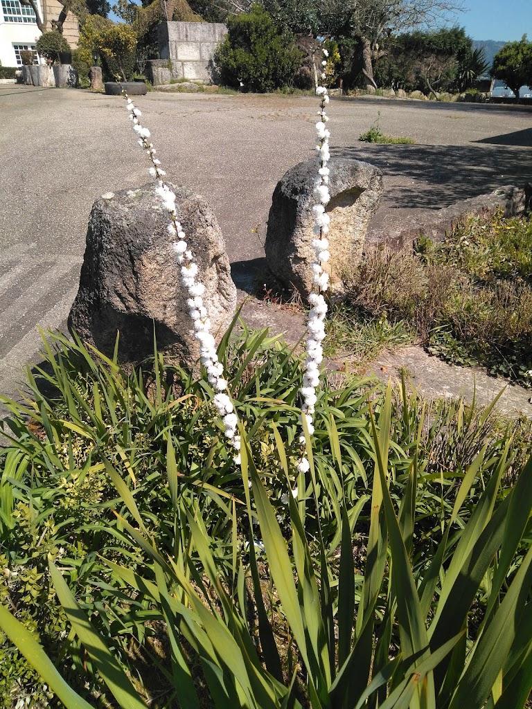Restaurantes Porrino