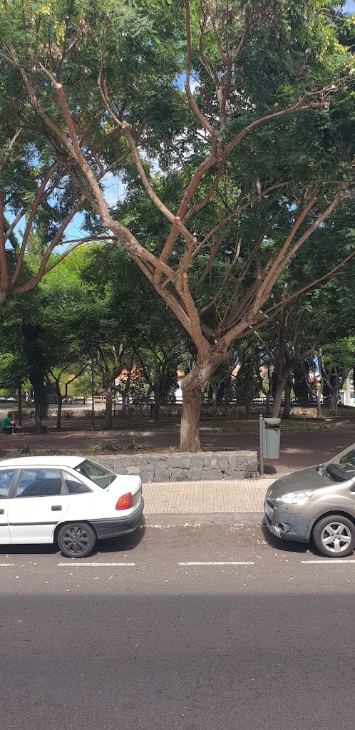 Centro de Atencion e Informacion de la Seguridad Social no 06