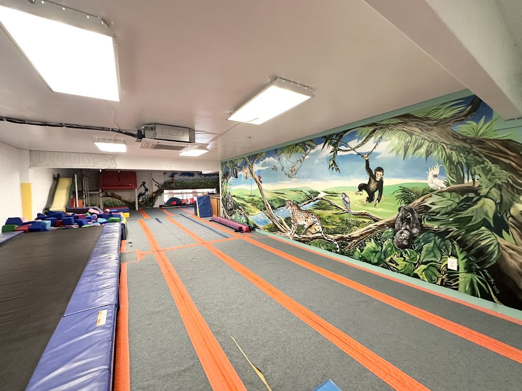  Elite Gymnastics Academy