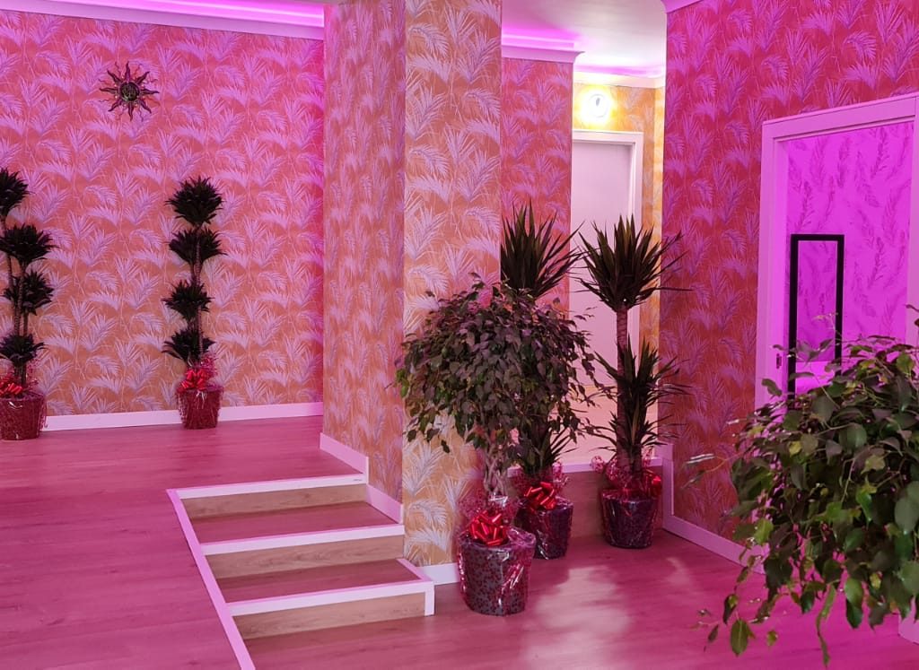 Masajes Benidorm - Centro de masajes Oriental