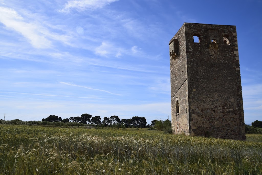 Torre del Mas del Bisbe (XVI century)