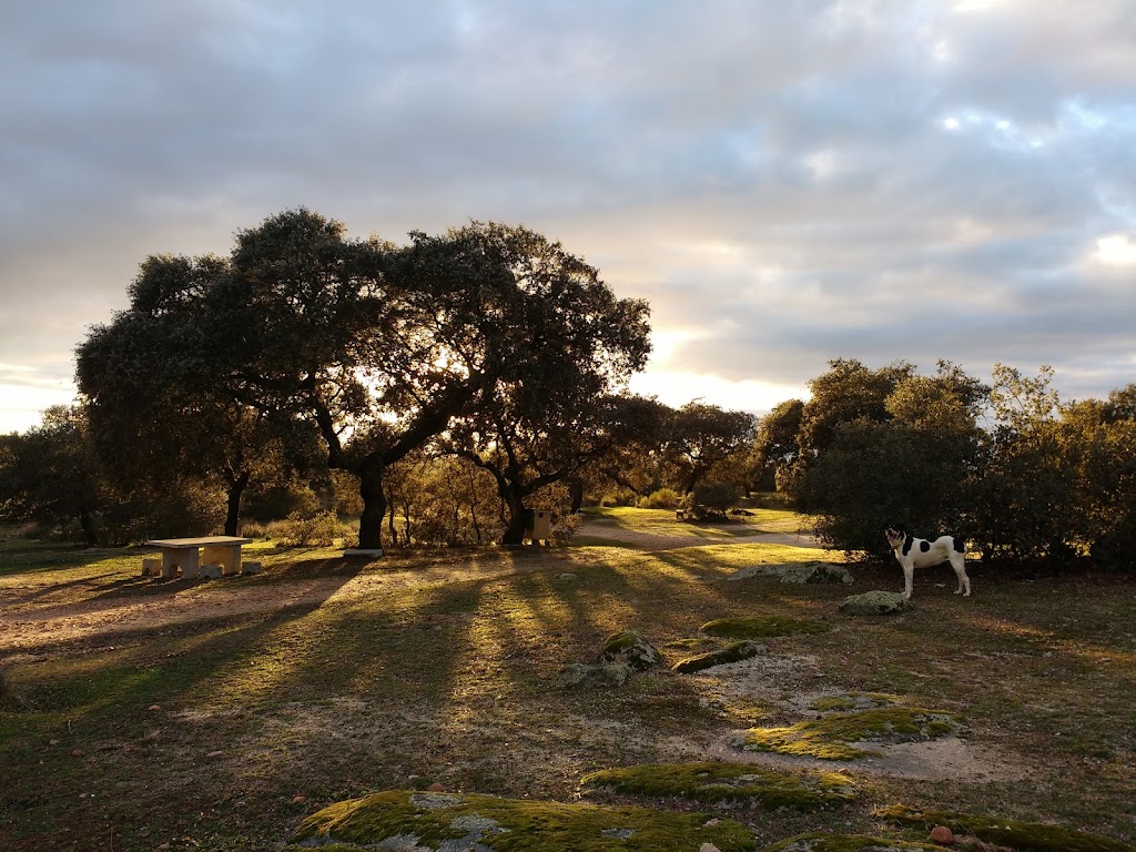 Casa de Campo - Via de la Plata