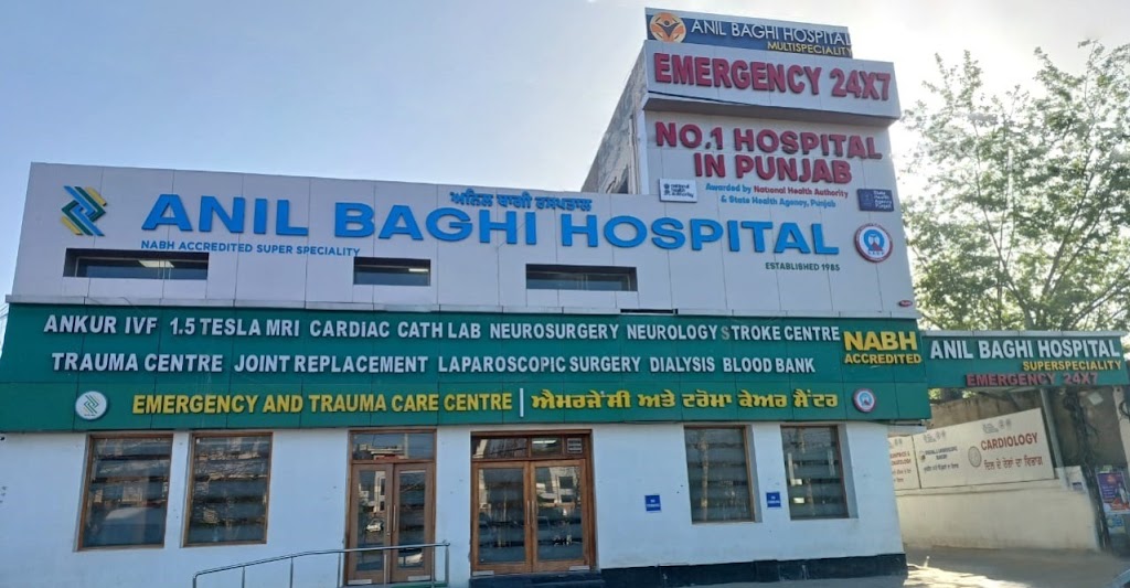 Dr. Anil Baghi Hospital Abh Healthcare Ltd