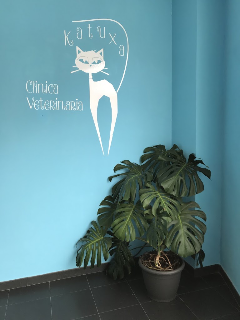 Clinica Veterinaria Katuxa