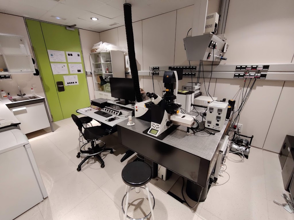 BRALM (Basque Resource for Advanced Light Microscopy)