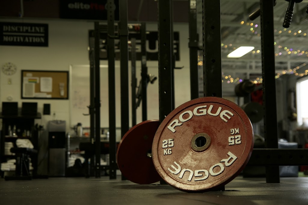  The Academy of Sports Performance