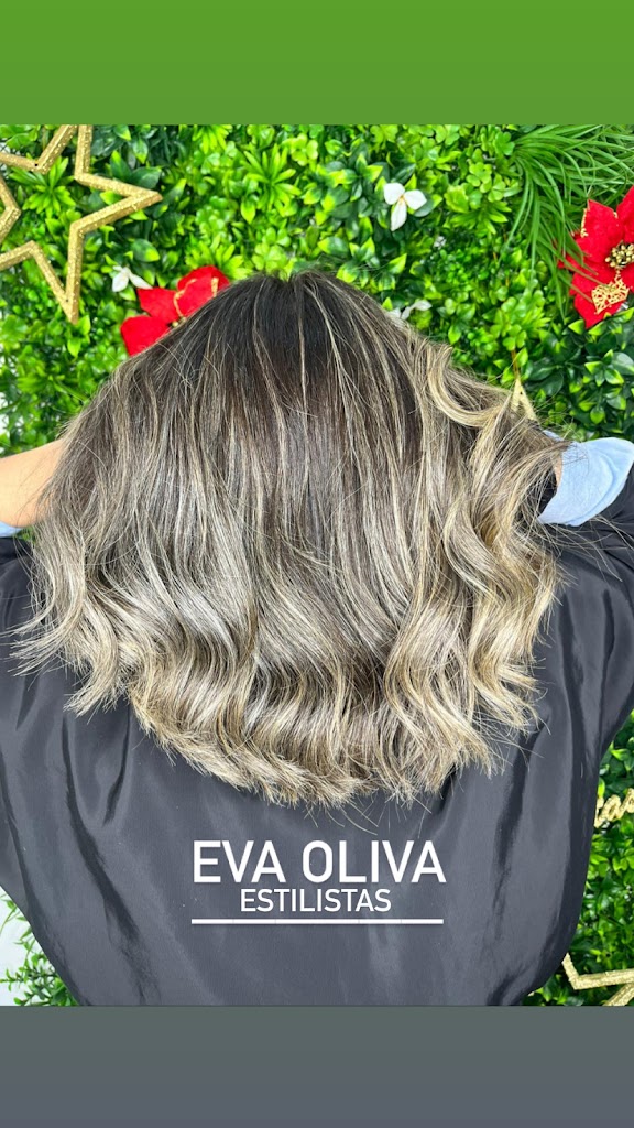 Eva Oliva Estilistas — Peinado