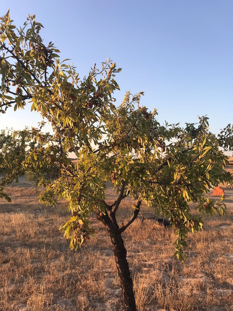 Finca cantala
