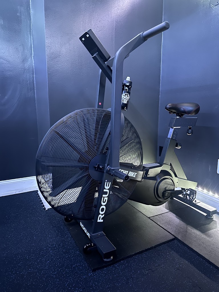  Taylor GAINZ Fitness