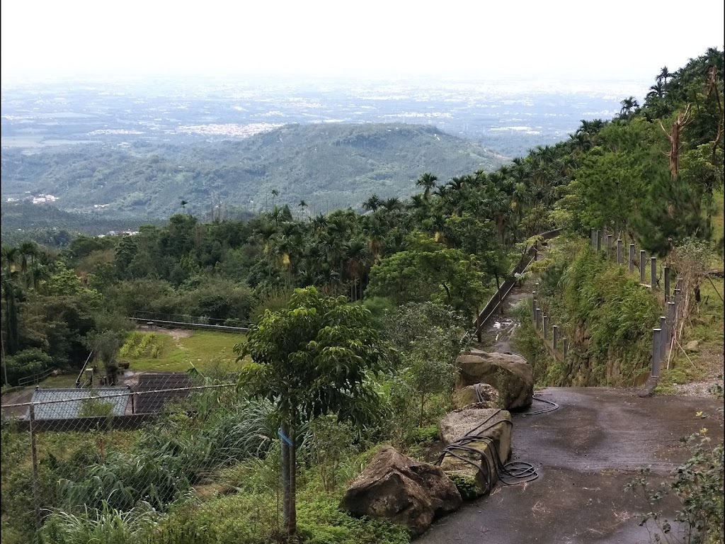 華山御園休閒廣場 的照片