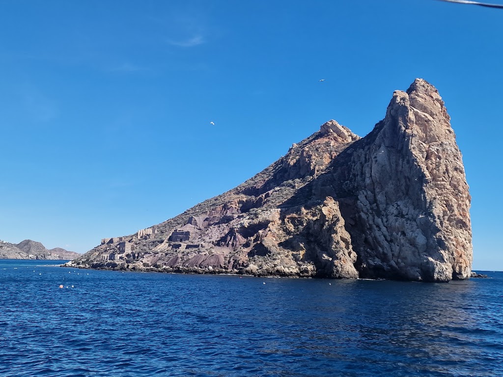 Excursiones nauticas Don Pancho — Mas recientes