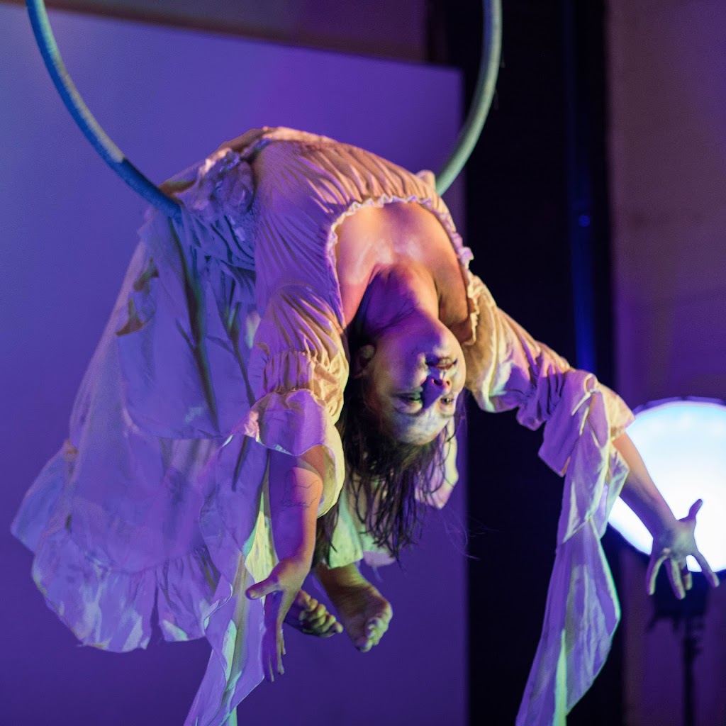  Shape Aerial Fitness