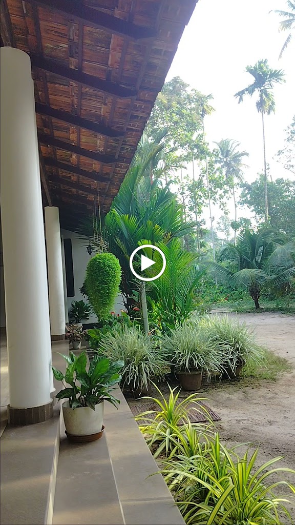 Videos