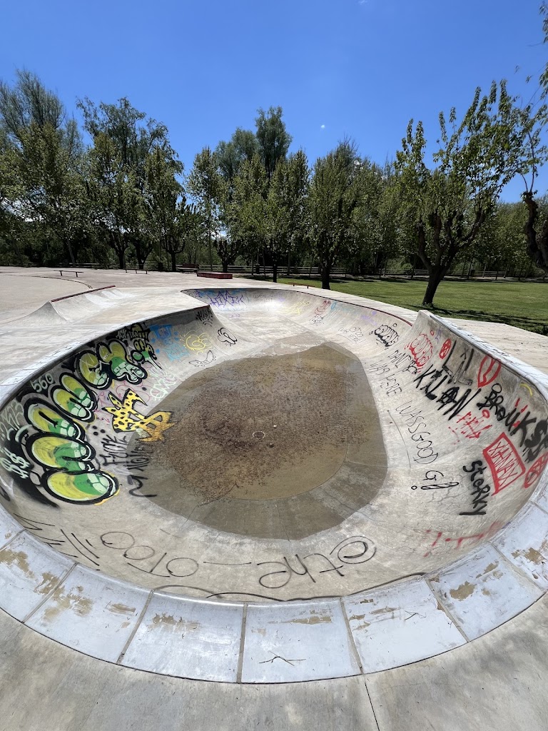Skatepark Manlleu