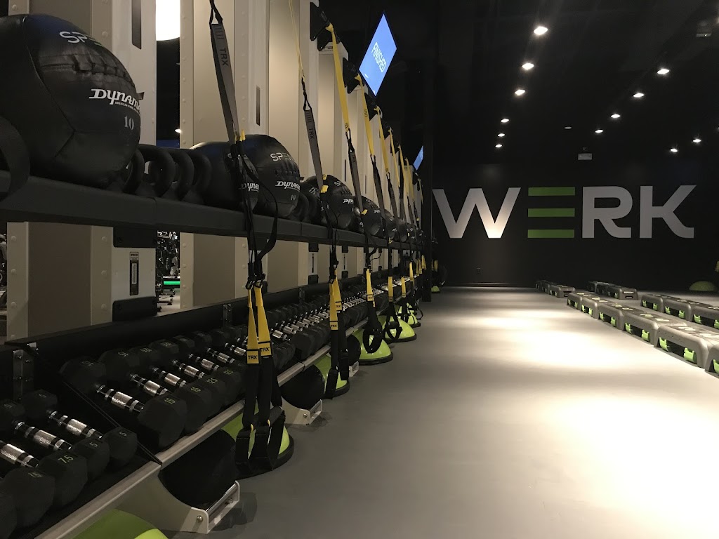  SPENGA Austin Lakeline