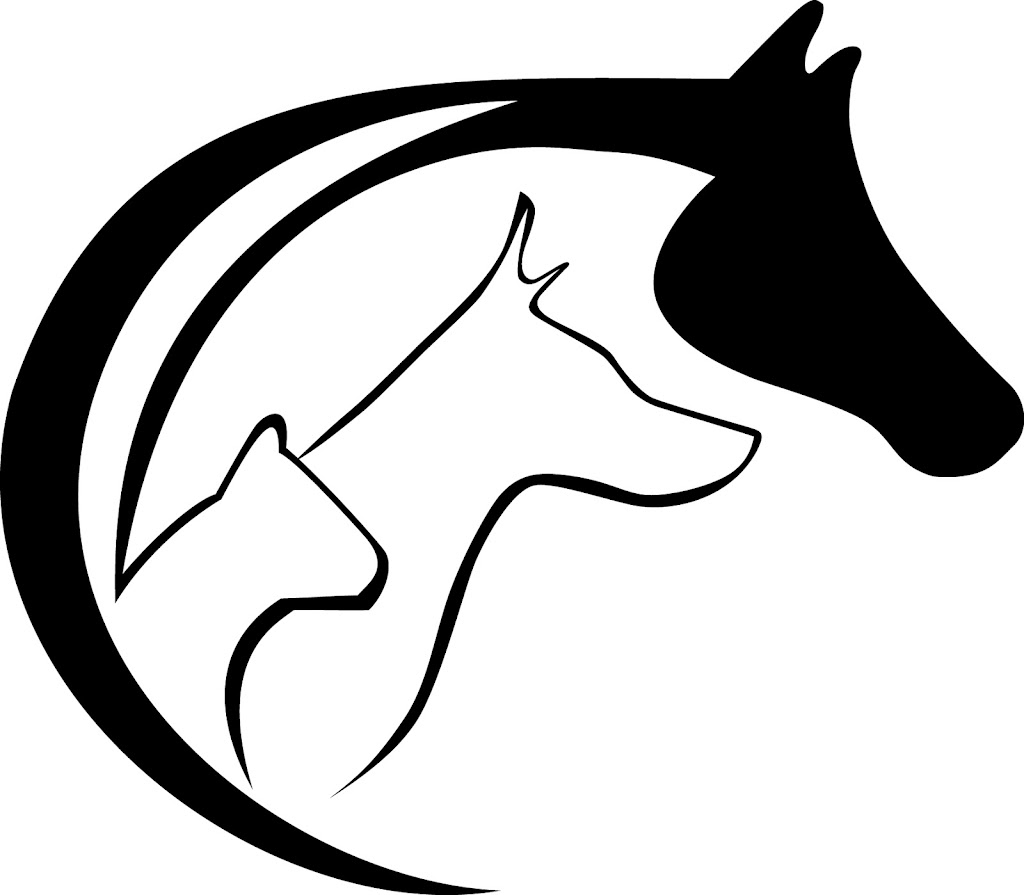 Centro Veterinario Animal Dharma — Del propietario