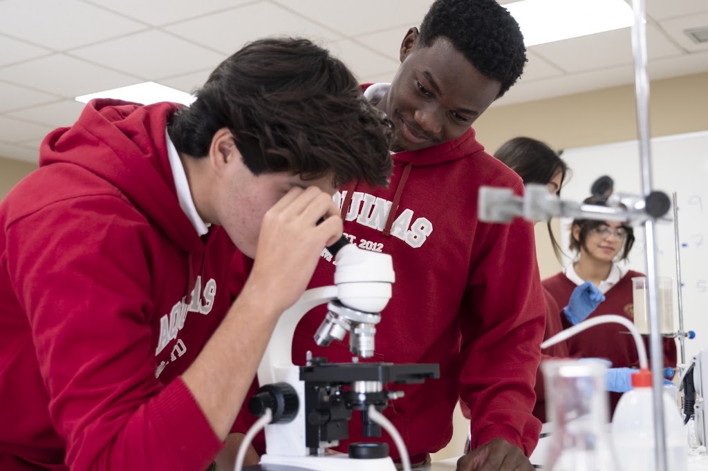 Aquinas American School - High School Campus — Del propietario