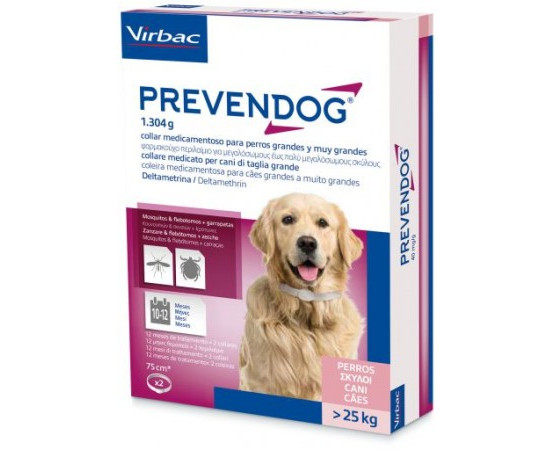 Centrofauna Veterinaria — Perro