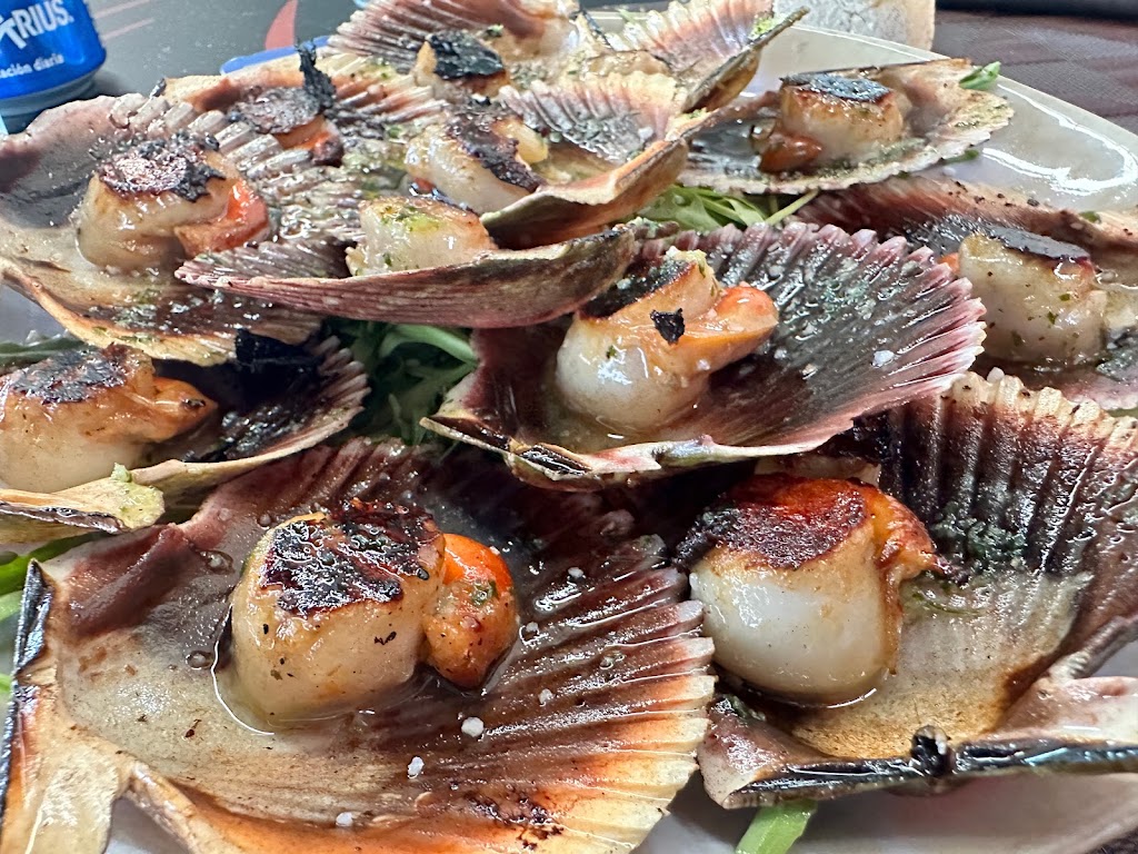 Restaurante Nomadas World Food — Pectinidae