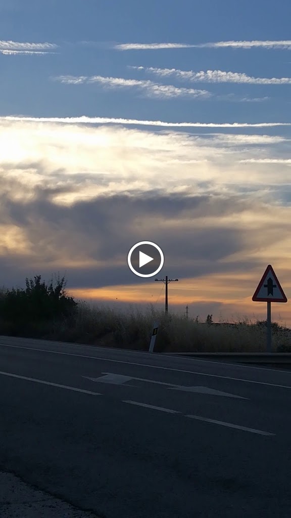 Saras Aliseda — Videos