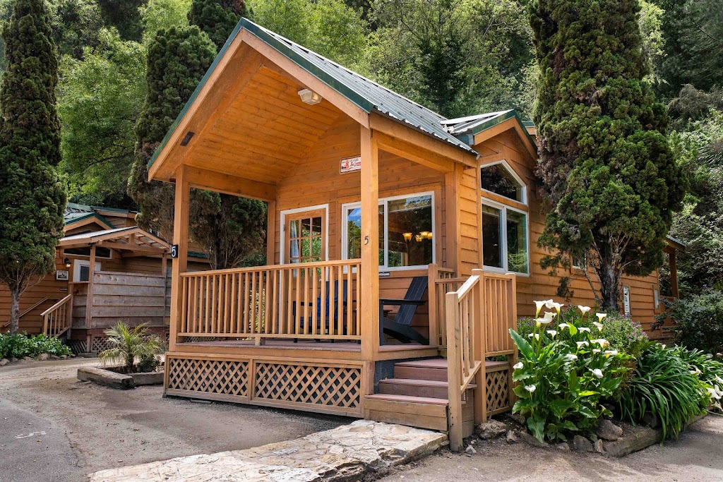 Saddle Mountain Carmel