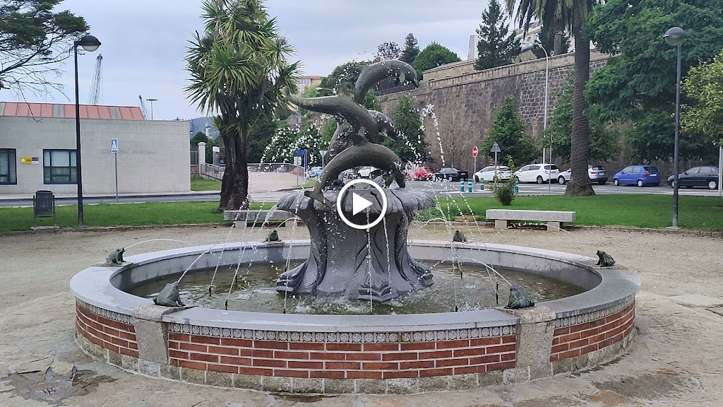 Bar Jardin de la ranita — Videos