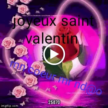 Sol De Nit — Videos