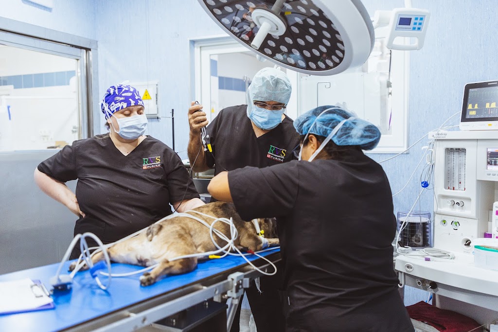 Referencia Veterinaria Sevilla — Del propietario