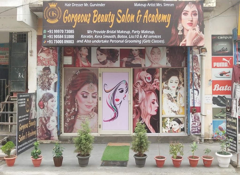 Gorgeous Beauty Salon Academy