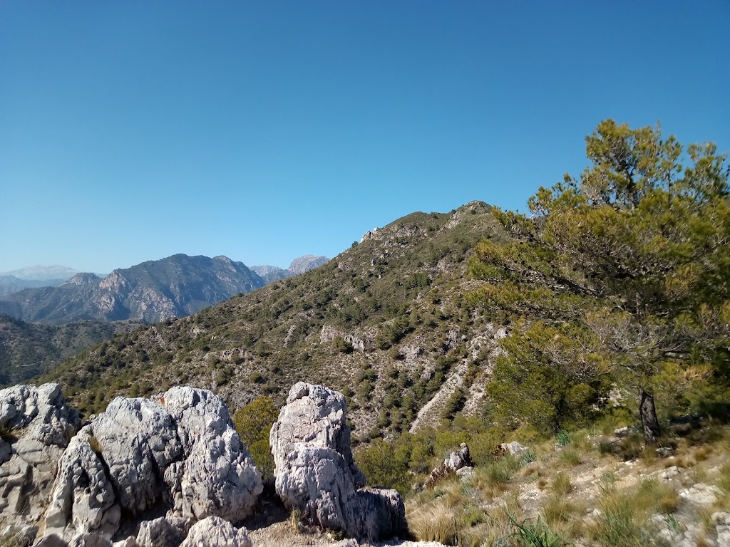 Mirador Tajo de los Bueyes
