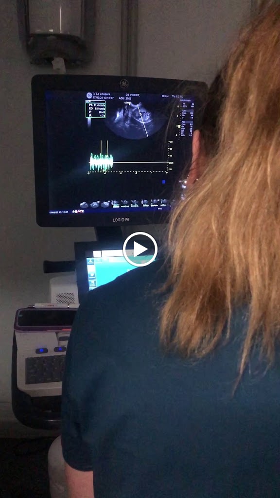 La Chopera Hospital Veterinario — Videos