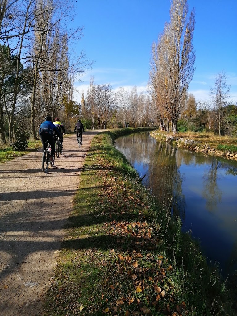 Ruta Canal del Duero hasta Herrera