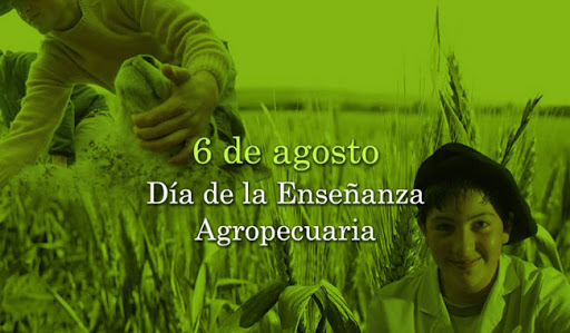 Complejo Educativo Alberto Monti
