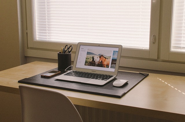 Local Web Design Professionals