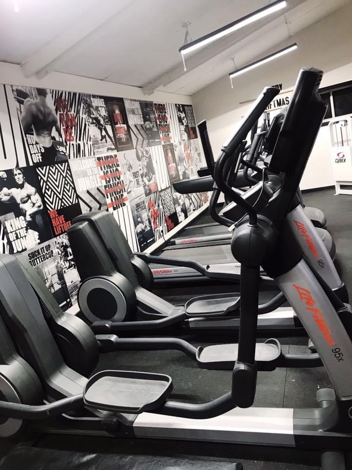  Iron Jungle Gym and Fitness