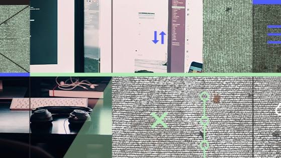 Shankx Web Development Llc