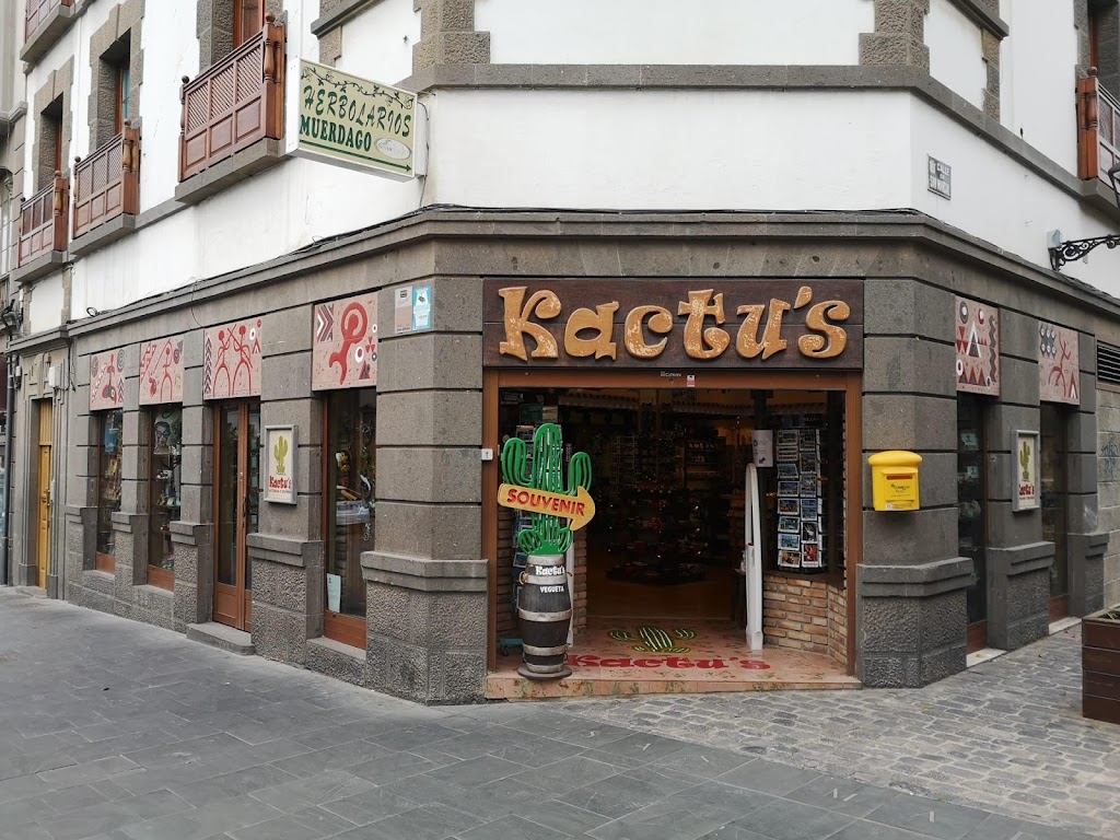 Kactus Vegueta (Artesania Canaria y Souvenir)