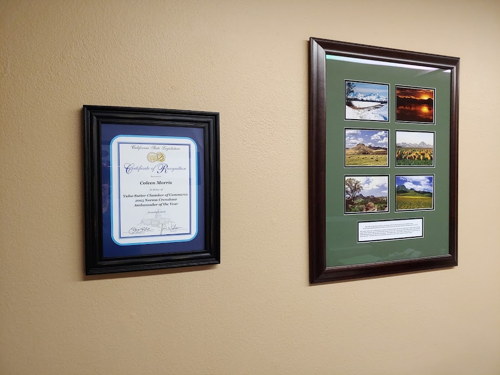 Sutter Buttes Business Services