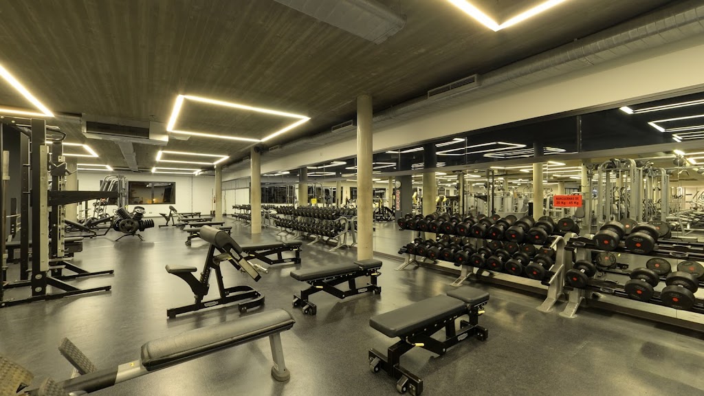 Body Factory