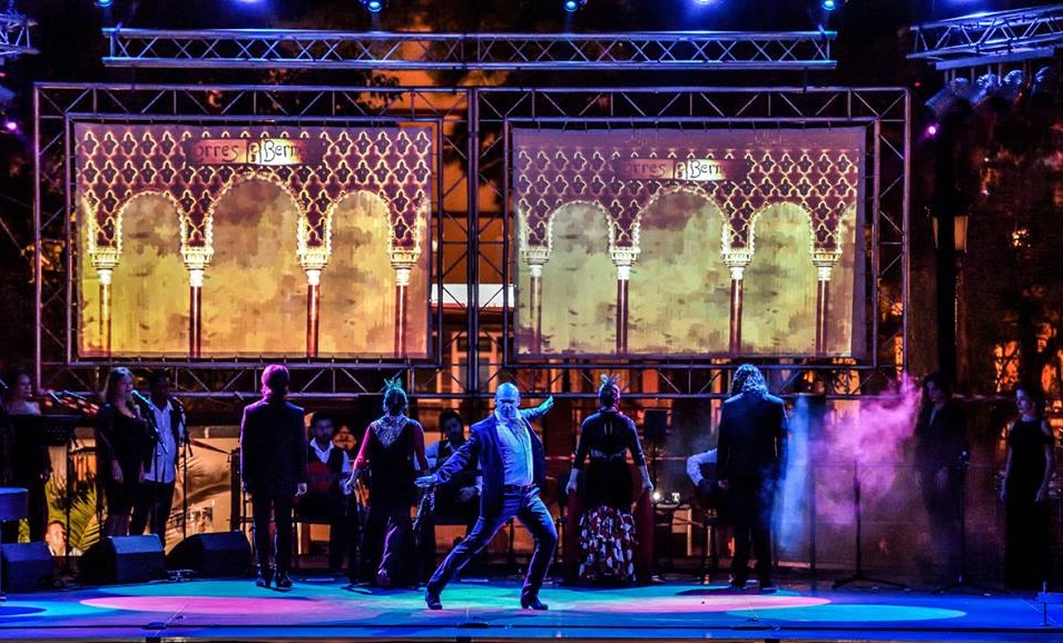 Baile flamenco David Lozano — Del propietario